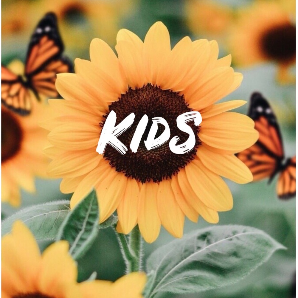 Welcome! 🌻